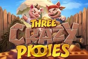 three-crazy-pigs